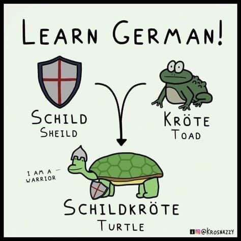 learn German